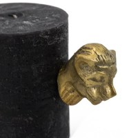 Kaarsenprikker tijger